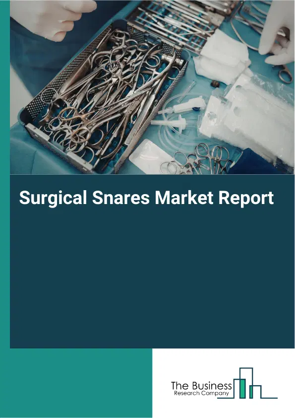 Global Surgical Snares Market Report 2026