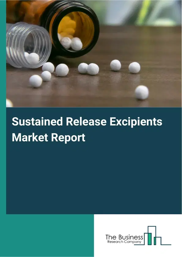 Global Sustained Release Excipients Market Report 2026