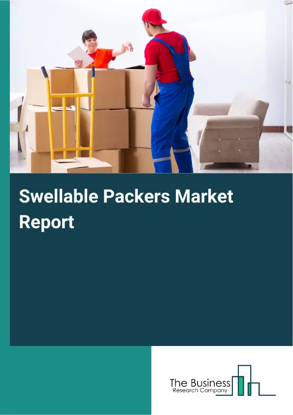 Global Swellable Packers Market Report 2026