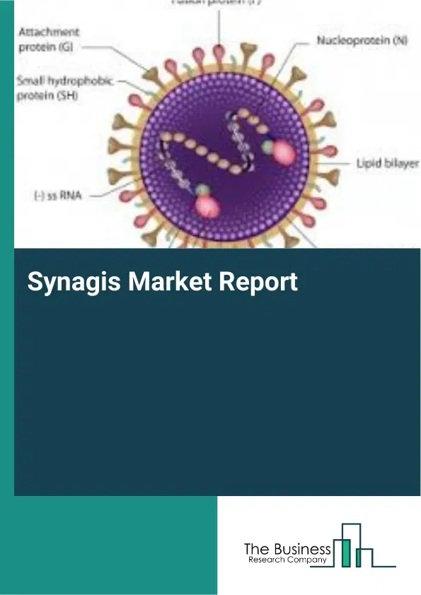 Global Synagis Market Report 2026