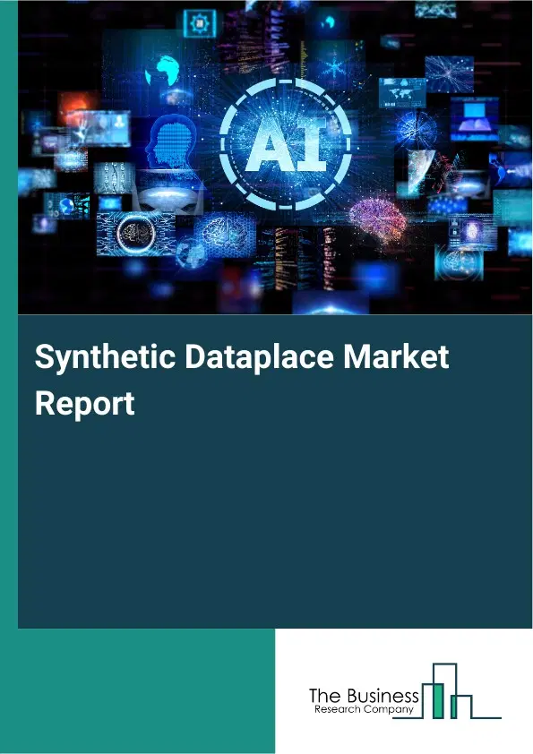 Global Synthetic Dataplace Market Report 2026