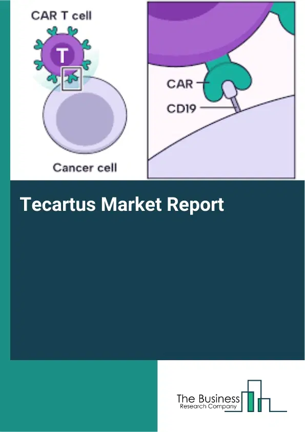 Global Tecartus Market Report 2026