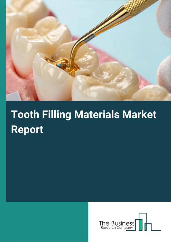 Global Tooth Filling Materials Market Report 2026