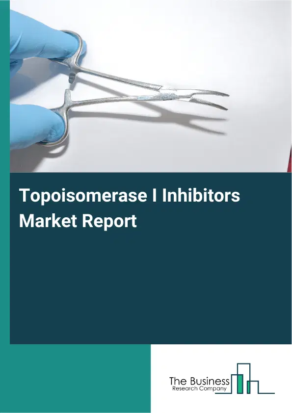 Global Topoisomerase I Inhibitors Market Report 2026