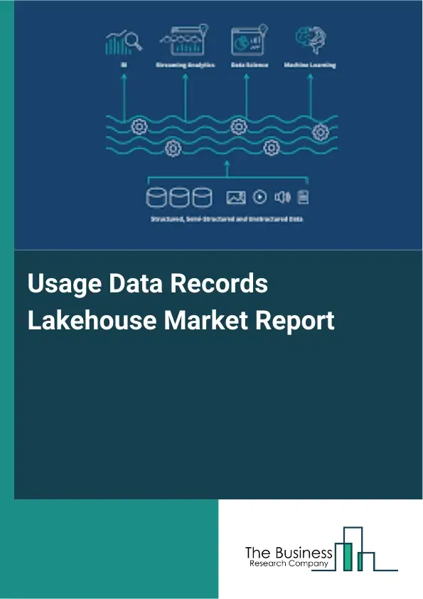 Global Usage Data Records Lakehouse Market Report 2026