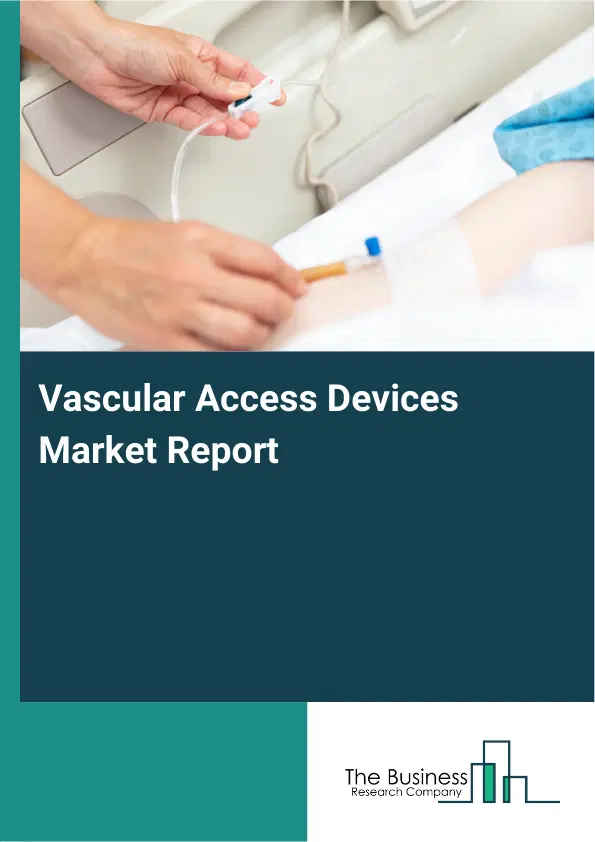 Global Vascular Access Devices Market Report 2026