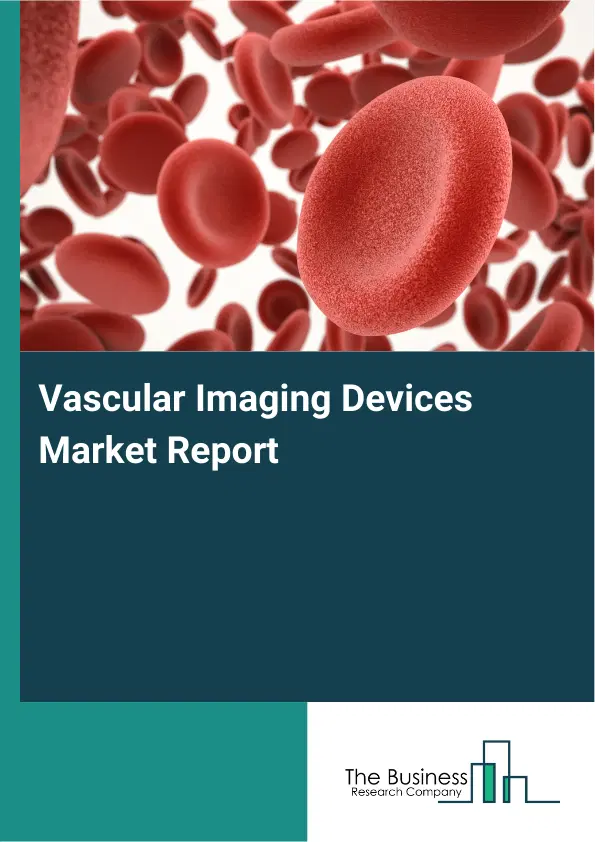 Global Vascular Imaging Devices Market Report 2026