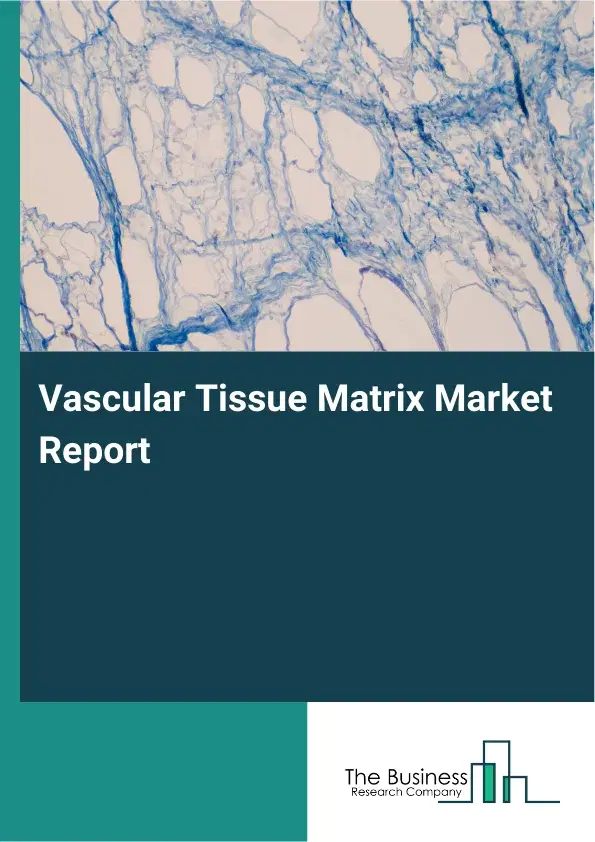 Global Vascular Tissue Matrix Market Report 2026