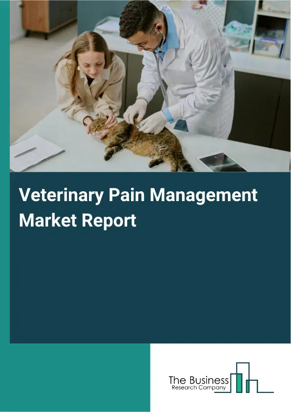 Global Veterinary Pain Management Market Report 2026