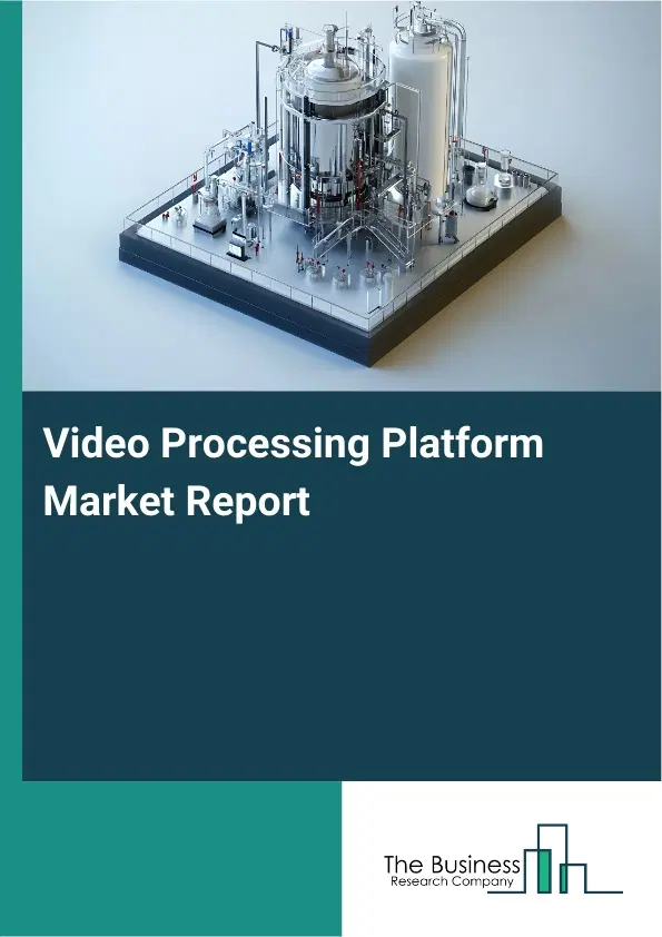 Global Video Processing Platform Market Report 2026