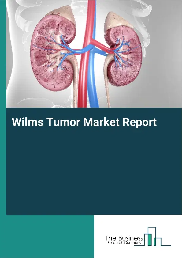 Global Wilms Tumor Market Report 2026