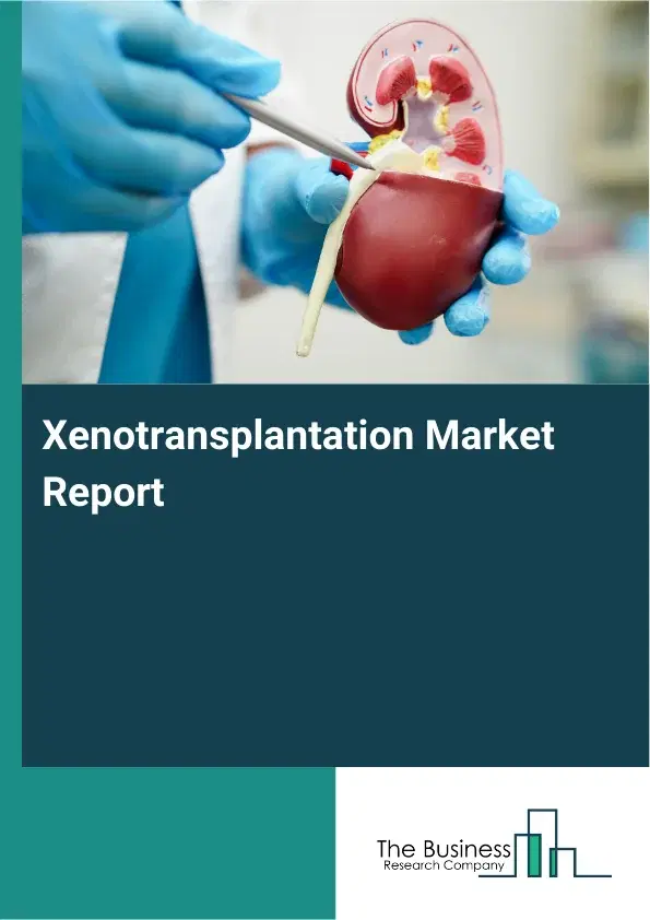 Global Xenotransplantation Market Report 2026