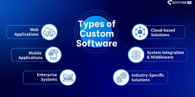 Types of Custom Software Market Segments