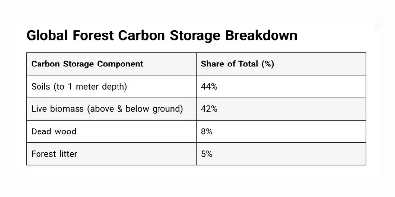 Forest Carbon Storage Analysis