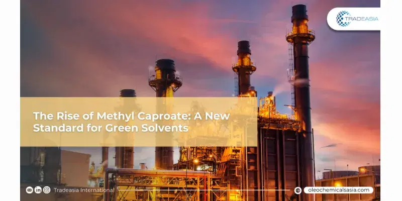 Methyl caproate chemical industry production