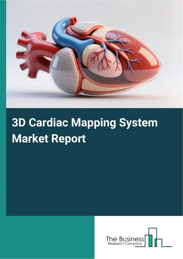 Global 3D Cardiac Mapping System Market Report 2026 Global 3D Cardiac Mapping System Market Report 2026