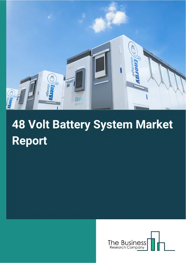 Global 48 Volt Battery System Market Report 2026 Global 48 Volt Battery System Market Report 2026