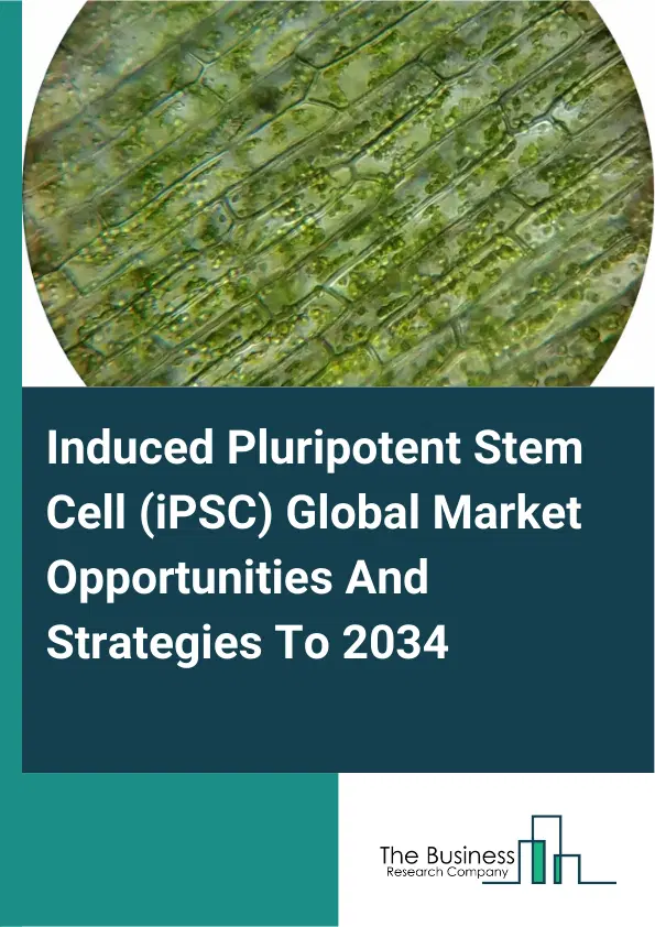 Induced Pluripotent Stem Cell (iPSC) Market 2025 Induced Pluripotent Stem Cell (iPSC) Market 2025