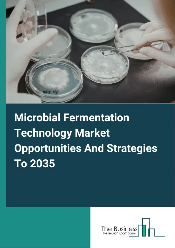 Microbial Fermentation Technology Global Market Opportunities And Strategies To 2035 Microbial Fermentation Technology Global Market Opportunities And Strategies To 2035