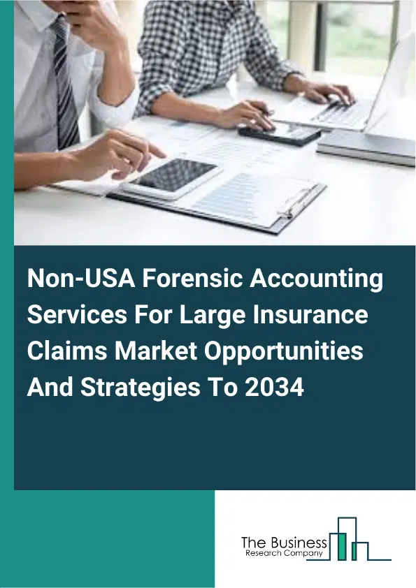 Non-USA Forensic Accounting Services For Large Insurance Claims Market 2026 Non-USA Forensic Accounting Services For Large Insurance Claims Market 2026