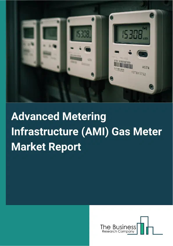 Global Advanced Metering Infrastructure (AMI) Gas Meter Market Report 2026 Global Advanced Metering Infrastructure (AMI) Gas Meter Market Report 2026
