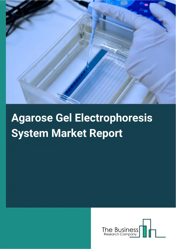 Global Agarose Gel Electrophoresis System Market Report 2026 Global Agarose Gel Electrophoresis System Market Report 2026