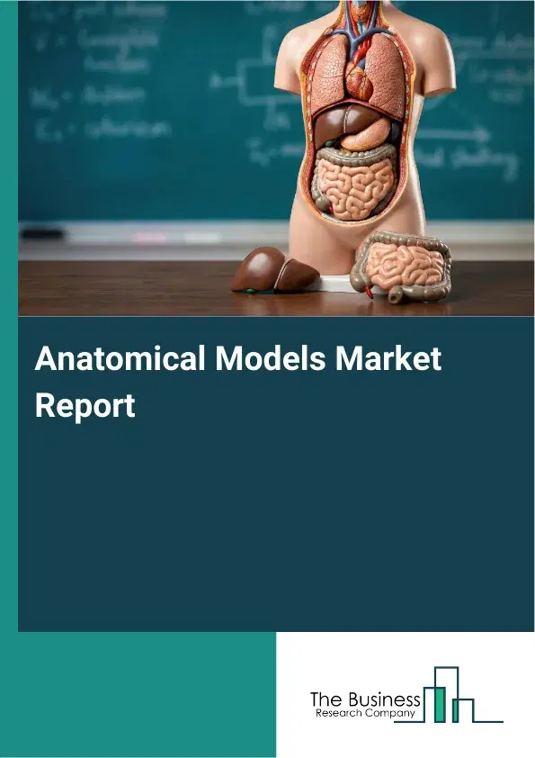 Global Anatomical Models Market Report 2026 Global Anatomical Models Market Report 2026