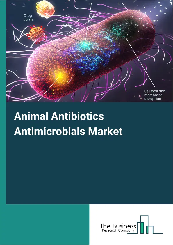 Animal Antibiotics Antimicrobials Market Report 2026 Animal Antibiotics Antimicrobials Market Report 2026
