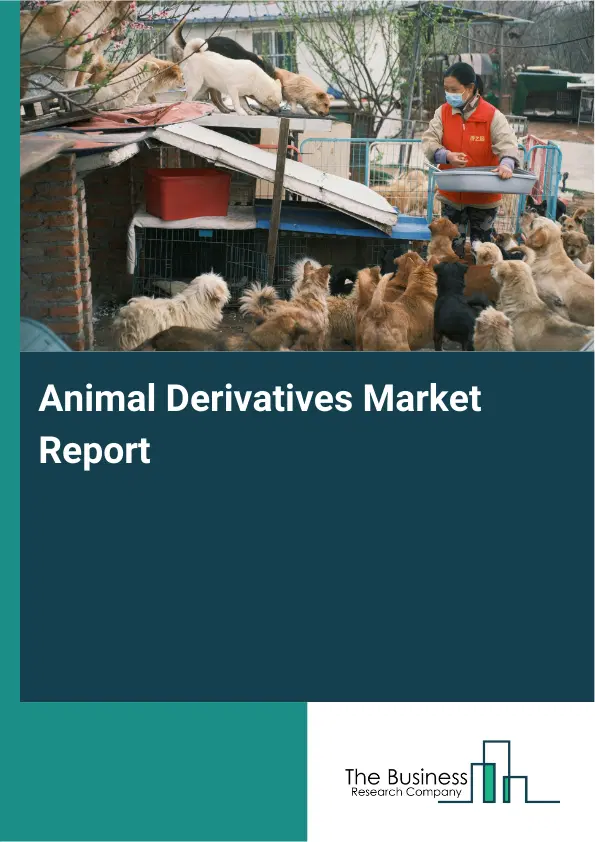 Global Animal Derivatives Market Report 2026 Global Animal Derivatives Market Report 2026