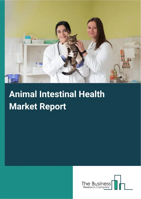 Global Animal Intestinal Health Market Report 2026 Global Animal Intestinal Health Market Report 2026
