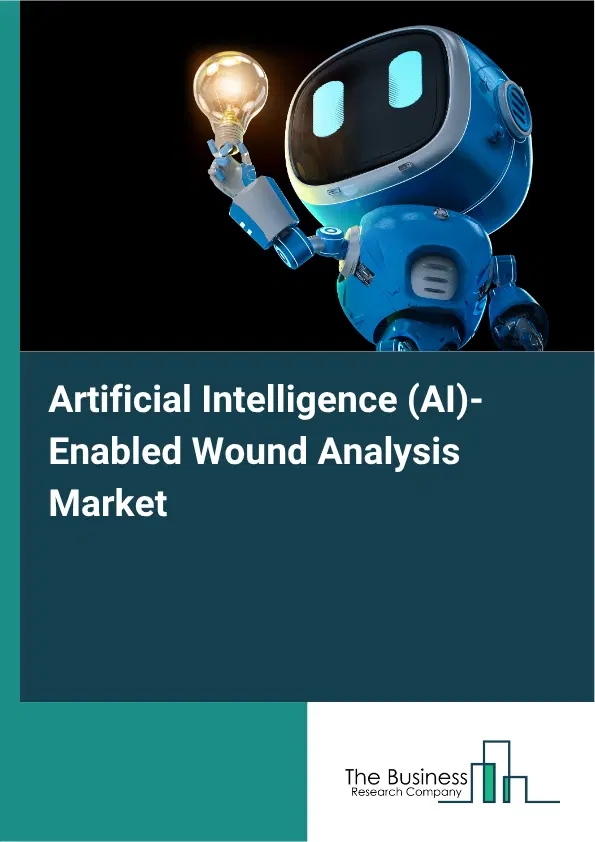 Artificial Intelligence (AI)-Enabled Wound Analysis Market Report 2026 Artificial Intelligence (AI)-Enabled Wound Analysis Market Report 2026