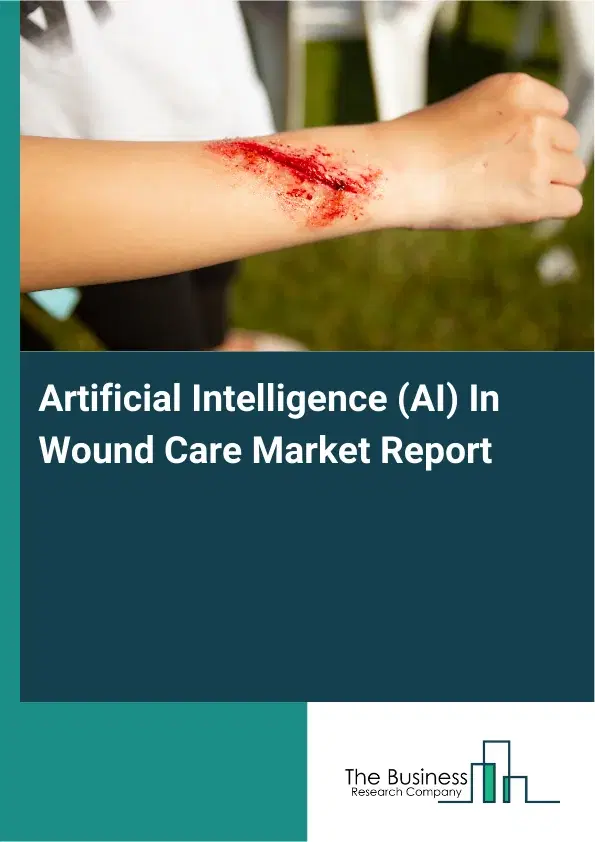 Global Artificial Intelligence (AI) In Wound Care Market Report 2026 Global Artificial Intelligence (AI) In Wound Care Market Report 2026