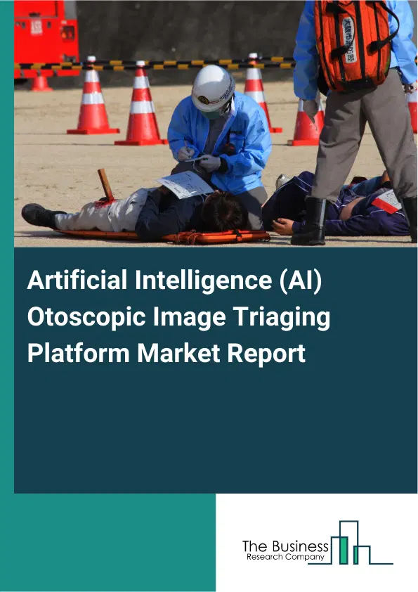 Global Artificial Intelligence (AI) Otoscopic Image Triaging Platform Market Report 2026 Global Artificial Intelligence (AI) Otoscopic Image Triaging Platform Market Report 2026