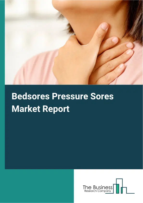 Bedsores Pressure Sores Market Report 2026 Bedsores Pressure Sores Market Report 2026