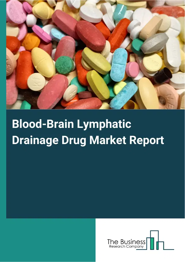 Blood-Brain Lymphatic Drainage Drug Market Report 2026 Blood-Brain Lymphatic Drainage Drug Market Report 2026