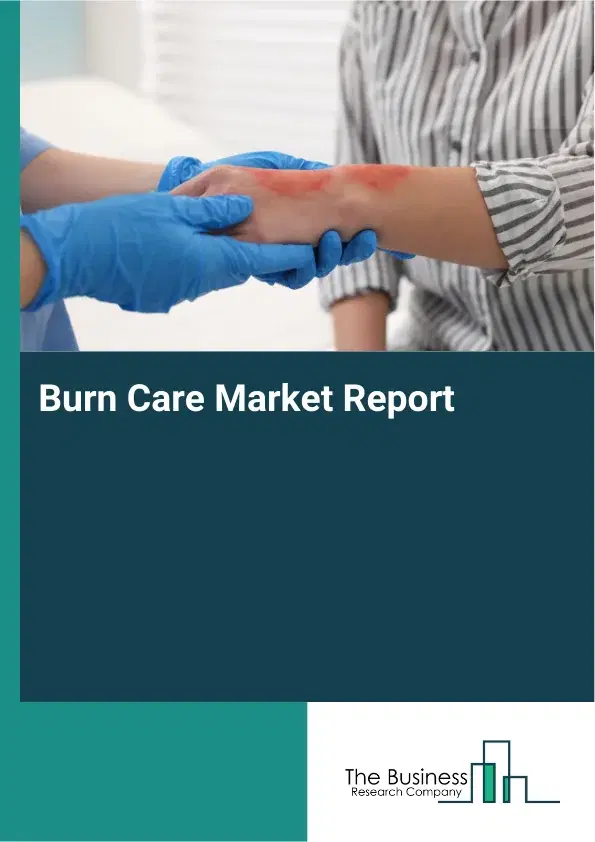 Global Burn Care Market Report 2026 Global Burn Care Market Report 2026