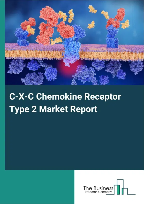 Global C-X-C Chemokine Receptor Type 2 Market Report 2026 Global C-X-C Chemokine Receptor Type 2 Market Report 2026