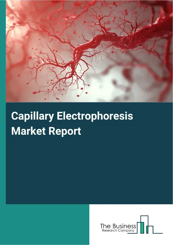 Global Capillary Electrophoresis Market Report 2026 Global Capillary Electrophoresis Market Report 2026
