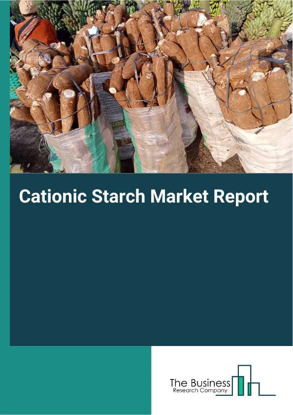 Global Cationic Starch Market Report 2026 Global Cationic Starch Market Report 2026