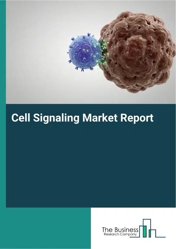 Global Cell Signaling Market Report 2026 Global Cell Signaling Market Report 2026