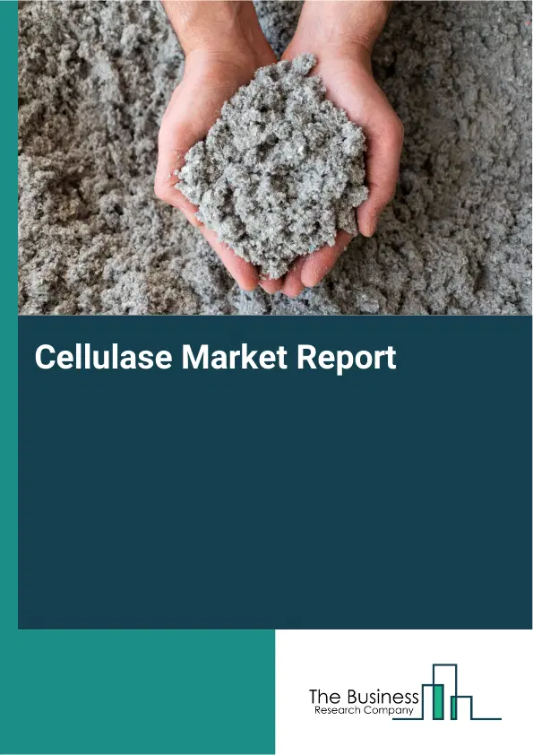 Global Cellulase Market Report 2026 Global Cellulase Market Report 2026
