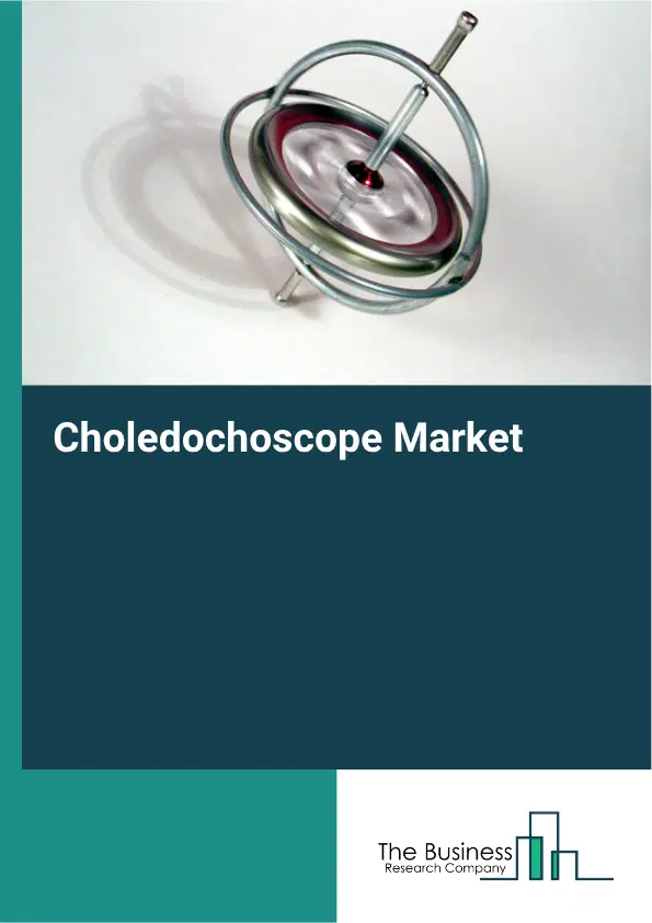 Choledochoscope Market Report 2026 Choledochoscope Market Report 2026