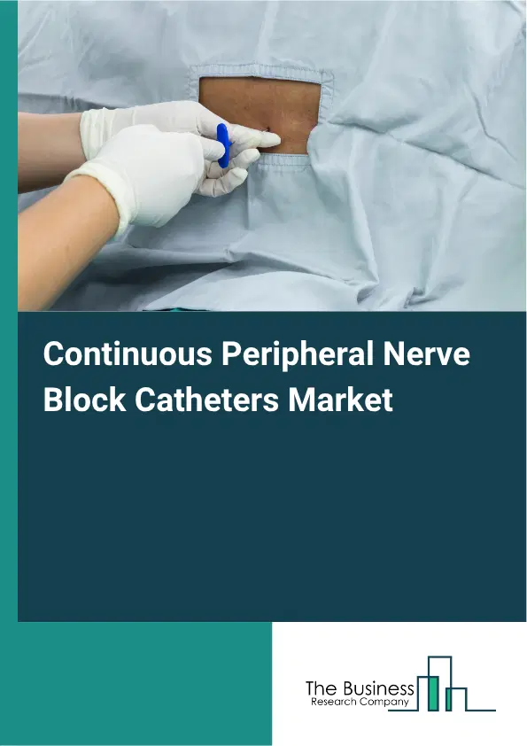 Continuous Peripheral Nerve Block Catheters Market Report 2026 Continuous Peripheral Nerve Block Catheters Market Report 2026