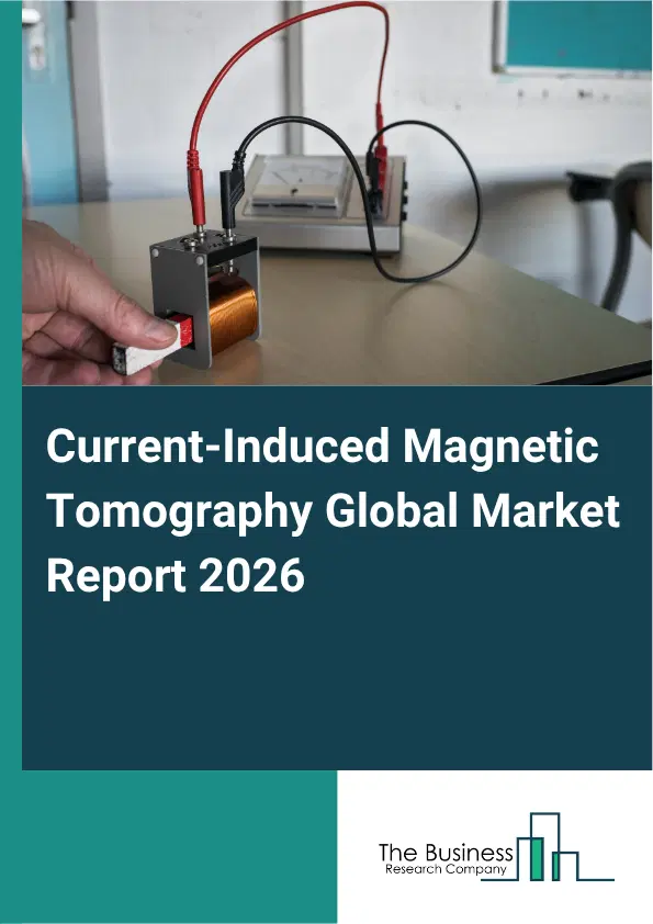 Current-Induced Magnetic Tomography Market Report 2026 Current-Induced Magnetic Tomography Market Report 2026