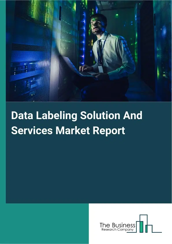Global Data Labeling Solution And Services Market Report 2026 Global Data Labeling Solution And Services Market Report 2026