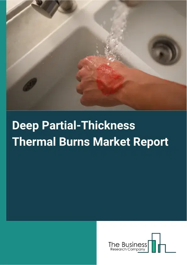 Global Deep Partial-Thickness Thermal Burns Market Report 2026 Global Deep Partial-Thickness Thermal Burns Market Report 2026