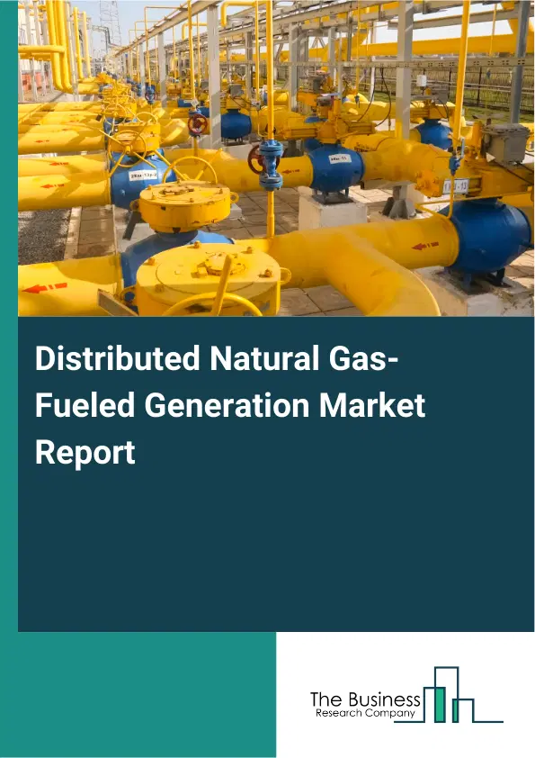 Global Distributed Natural Gas-Fueled Generation Market Report 2026 Global Distributed Natural Gas-Fueled Generation Market Report 2026