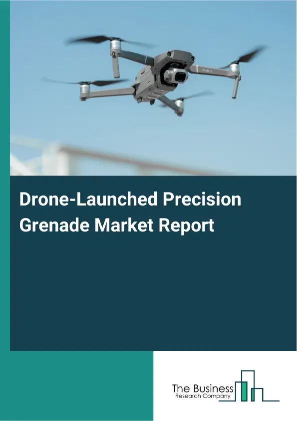 Global Drone-Launched Precision Grenade Market Report 2026 Global Drone-Launched Precision Grenade Market Report 2026