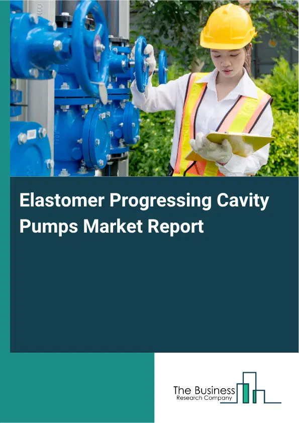 Elastomer Progressing Cavity Pumps Market Report 2026 Elastomer Progressing Cavity Pumps Market Report 2026