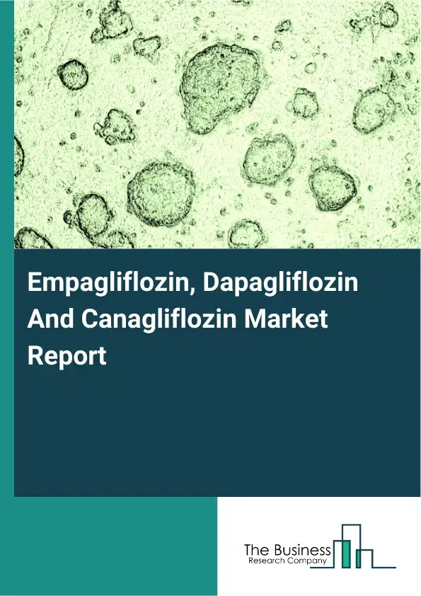 Global Empagliflozin, Dapagliflozin And Canagliflozin Market Report 2026 Global Empagliflozin, Dapagliflozin And Canagliflozin Market Report 2026